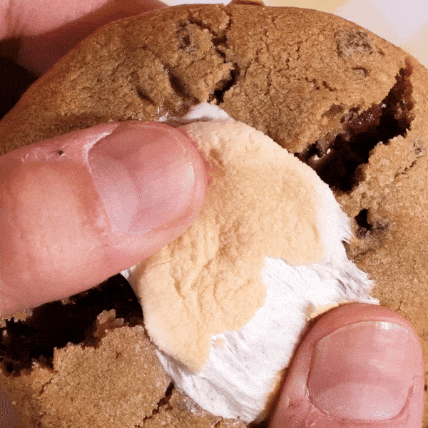 Smores Cookie GIF